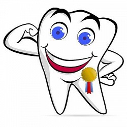 Bảng Giá Sứ Ngân Phượng Chưa Chiết Khấu